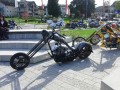 Thumbs/tn_Fak2010 (79).jpg